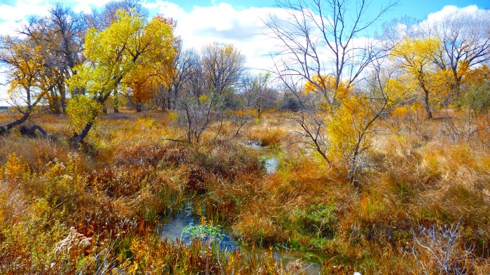 High Plains Oasis