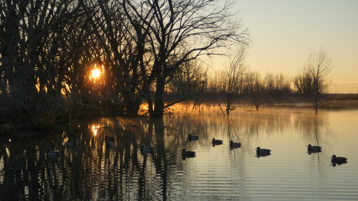 Early Morning Sunrise on the Decoys